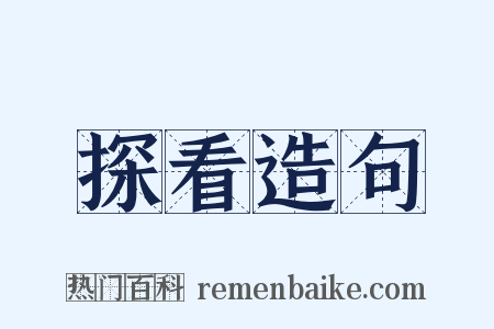 探看造句是什么意思的图片
